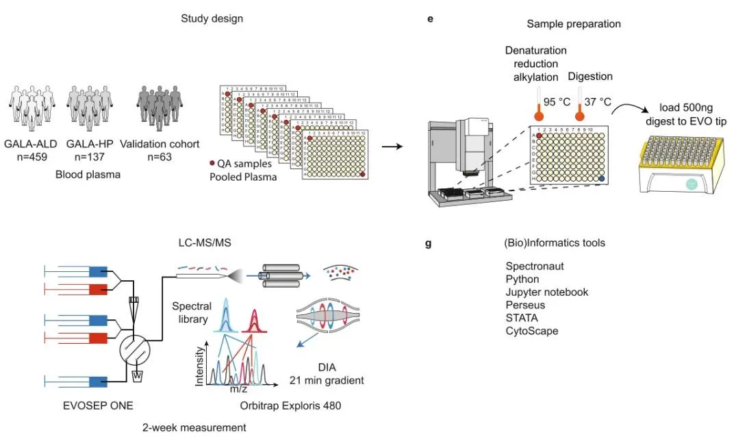 Figure 4.proteomics biomarker discovery workflow blood plasma DIA evosep orbitrap exploris 480